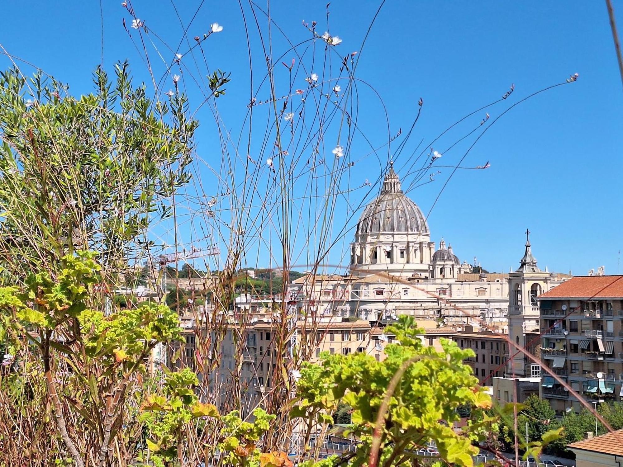 Delmirani'S Book Apartments - Vatican View Рим Экстерьер фото